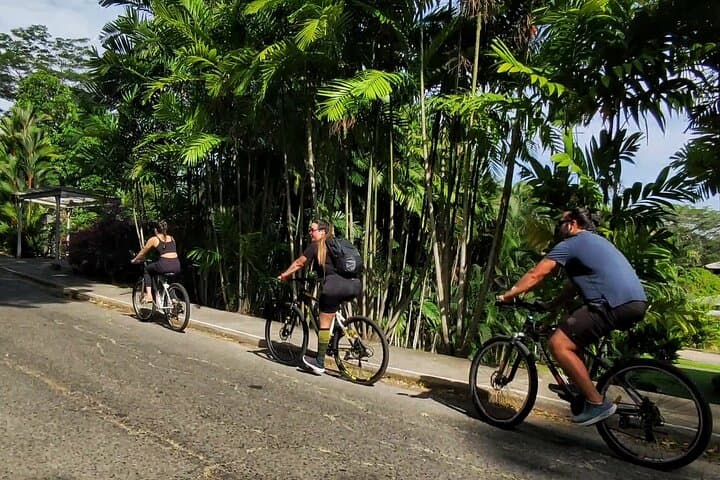 Panama Canal Zone Bike Tour: Tracks of Freedom Through Panama City's Historic Neighborhoods photo 4