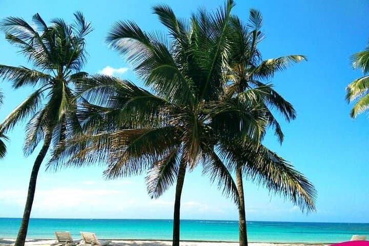 Kenya’s Ultimate 4-Day Safari and Beach Escape: Nairobi National Park, Cultural Tours, and Diani Beach Relaxation photo 3
