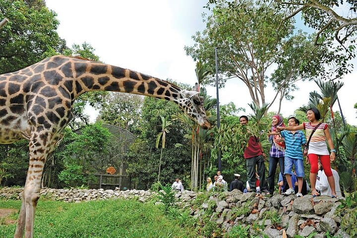 Melaka Ayer Keroh Gardens, Museums & Zoo Day Tour from Kuala Lumpur photo 2