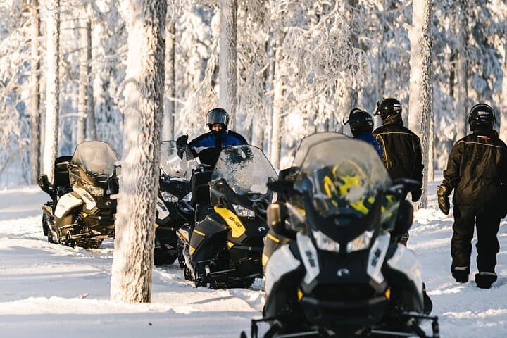 Levi Fell Snowmobile Safari: 30–35 km Arctic Ride with Café Stop photo 5