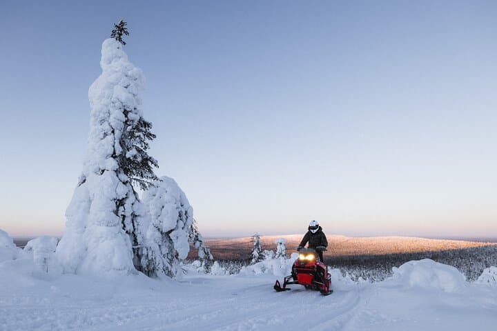 Levi Fell Snowmobile Safari: 30–35 km Arctic Ride with Café Stop