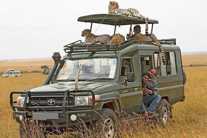 Classic 5-Day Maasai Mara and Rift Valley Lakes Safari — Big Five, Flamingos & Crescent Island photo 4