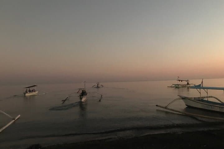 Sunrise Dolphin Watching & Snorkeling in North Bali (Lovina) photo 3