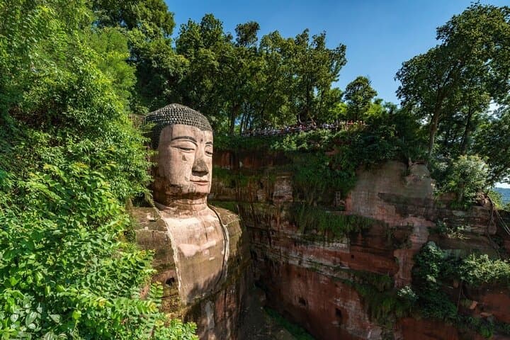 Chengdu Panda Base & Leshan Giant Buddha: Private One-Day Wildlife and Cultural Tour photo 5