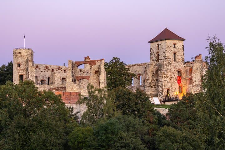Full-Day Eagle Nests Castles Tour from Kraków — Ogrodzieniec, Tenczyn & Olsztyn