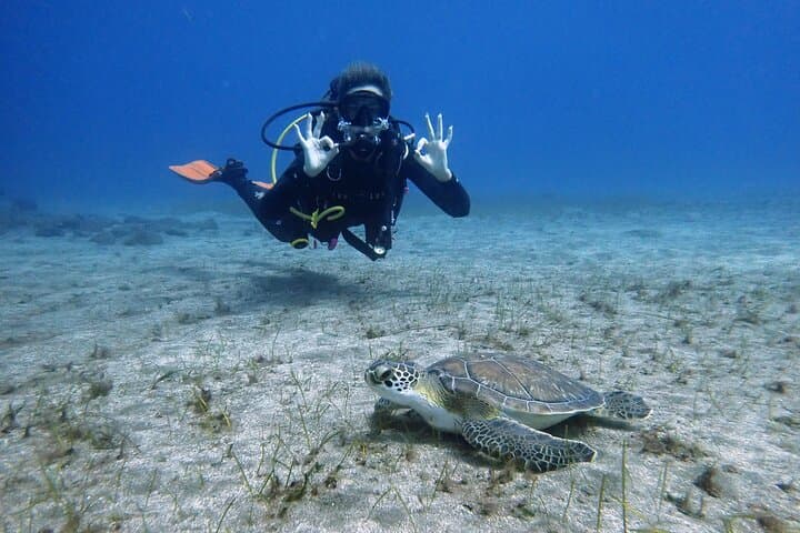 Discover Scuba in South Tenerife: 3-Hour Beginner Dive from Adeje