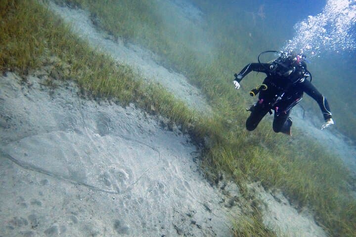 Discover Scuba in South Tenerife: 3-Hour Beginner Dive from Adeje photo 2