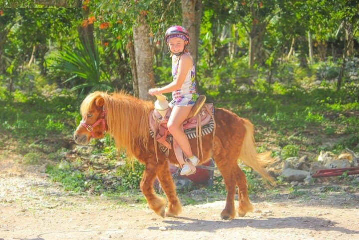 Horseback Riding and Zipline Jungle Adventure in Cancun — Cenote Swim & Jungle Ziplines photo 1