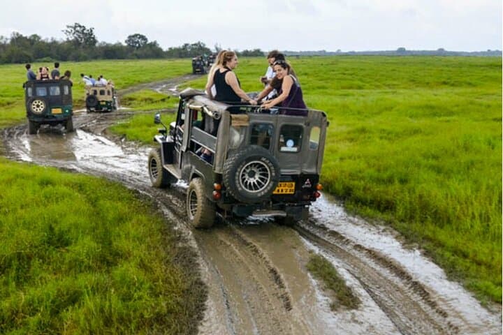 Kaudulla Jeep Safari and Dambulla Cave Temple Day Tour from Trincomalee