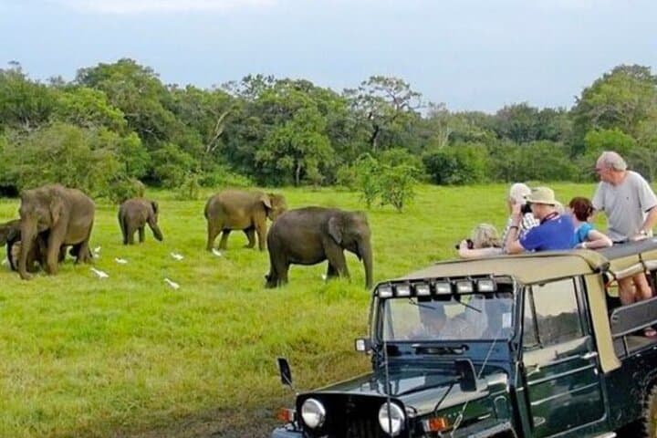 Kaudulla Jeep Safari and Dambulla Cave Temple Day Tour from Trincomalee photo 3