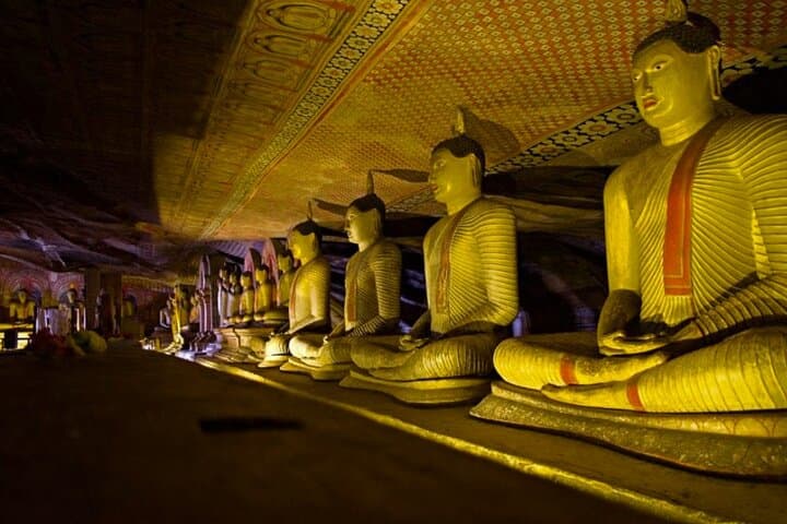 Kaudulla Jeep Safari and Dambulla Cave Temple Day Tour from Trincomalee photo 6