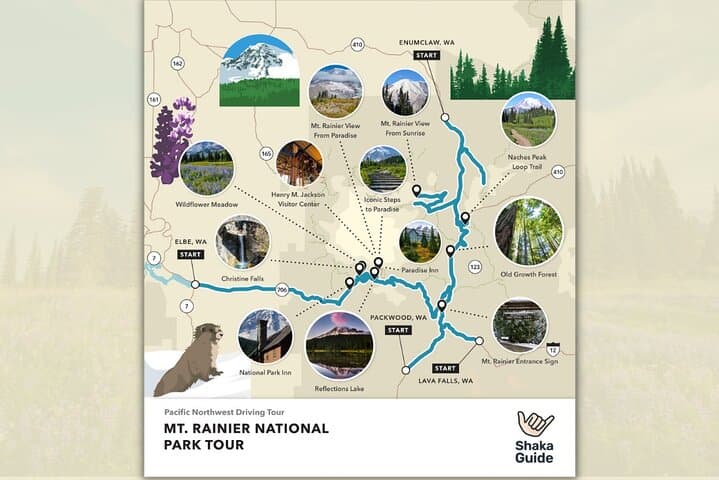 Mount Rainier Self-Guided Audio Tour: Drive, Hike & Photo Stops at Paradise and Sunrise photo 4