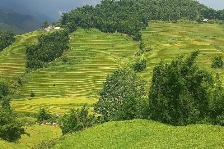 Authentic Sapa Valley Trek with Hmong Homestay and Local Guide photo 2