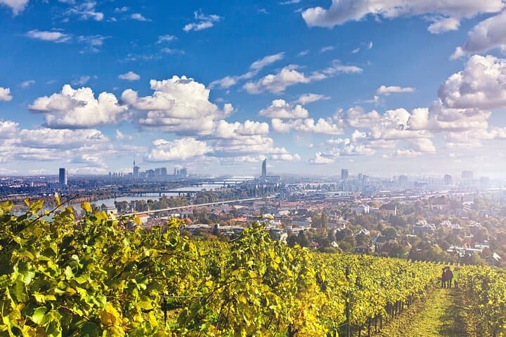 E‑Mountainbike Magic: Vienna Forests, Danube Rides & Heuriger Tastes photo 4