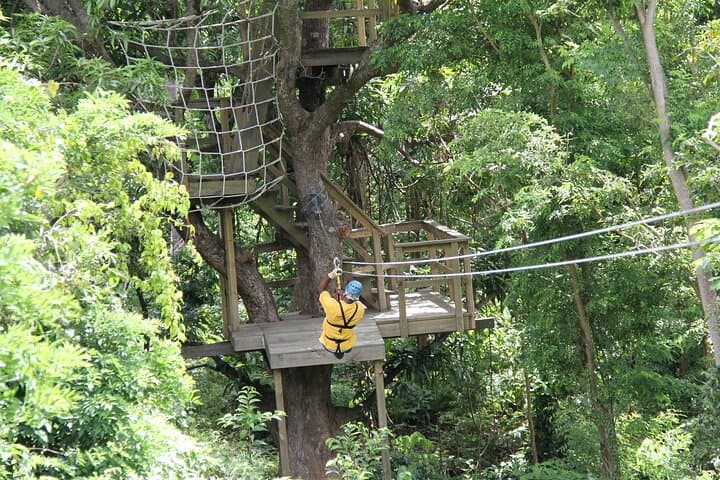 Morne Coubaril Zipline: Zip Under Petit Piton with Soufrière Sea Views photo 6
