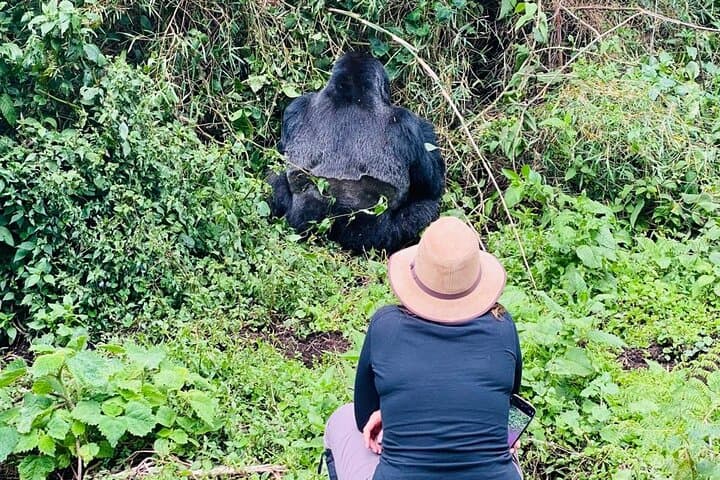 2-Day Ultimate Gorilla Trekking in Volcanoes National Park Rwanda