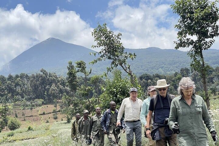 2-Day Ultimate Gorilla Trekking in Volcanoes National Park Rwanda photo 3