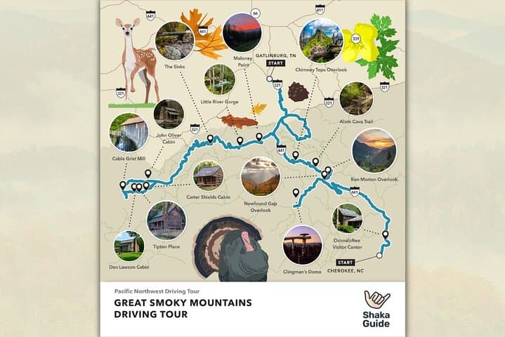 Great Smoky Mountains Self-Guided Audio Tour: Top Stops, Routes & Practical Tips photo 4