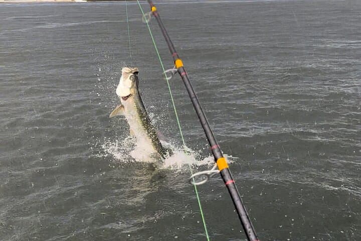 Chasing Silver Kings: Tarpon & Snook Fishing Charter in Ft. Lauderdale photo 5