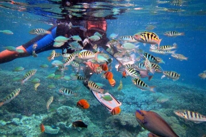 Swim with Manta Rays: Nusa Lembongan Snorkel Day Trip from Bali photo 4
