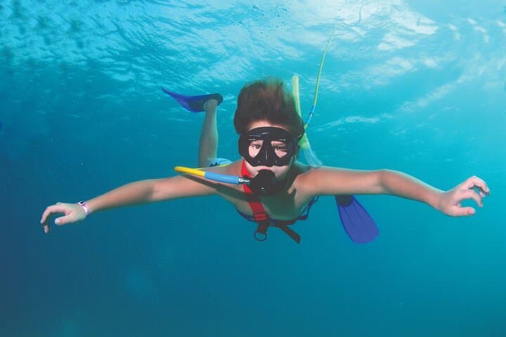 Cabo Pulmo Guided Scuba: Dive the Ancient Coral Reef