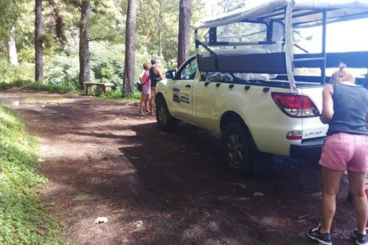 Moorea 4x4 Safari: Belvedere, Pineapples & Magic Mountain in Half a Day photo 6