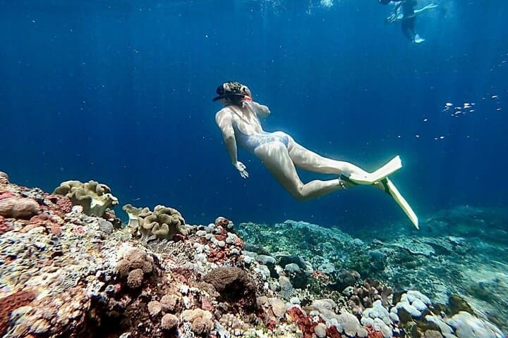 Swim with Manta Rays: Nusa Lembongan Snorkel Day Trip from Bali photo 2