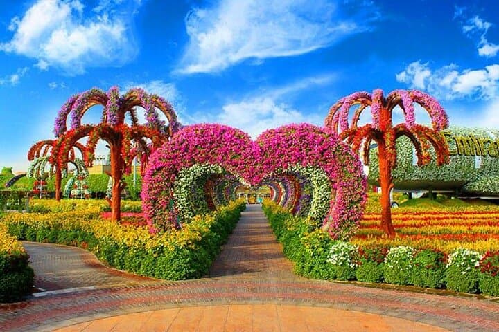 Dubai Miracle Garden Skip-the-Line Tickets — Best Times, Tips & What to Expect photo 2