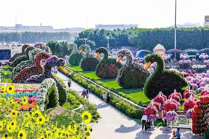 Dubai Miracle Garden Skip-the-Line Tickets — Best Times, Tips & What to Expect photo 4