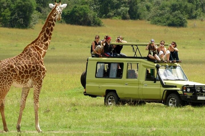 3-Day Maasai Mara Safari from Nairobi — Sopa Lodge Big Five Experience photo 3