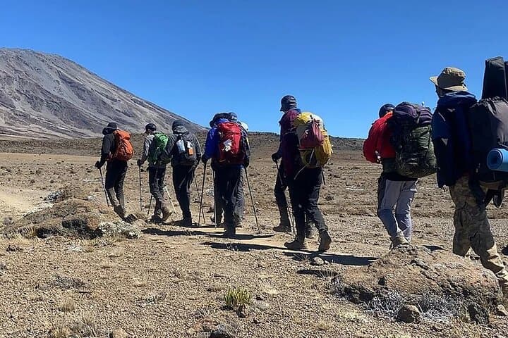 Kilimanjaro Rongai Route: 6-Day Summit Trek to Uhuru Peak photo 2