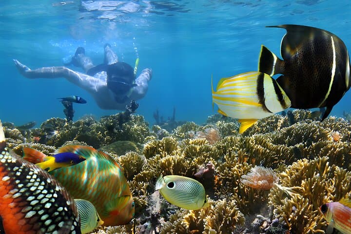 Best of Bali Water Sports in Tanjung Benoa: Jet Ski, Parasail & Snorkel Packages photo 6