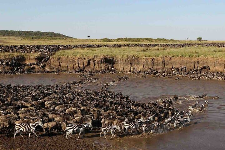 4-Day Comfort Safari: Tarangire, Ngorongoro Crater & Materuni Waterfall Experience photo 4