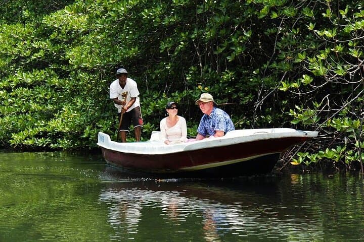 Nusa Lembongan Mangrove Kayak & SUP: Private Boat Tours Through Coastal Forest photo 2