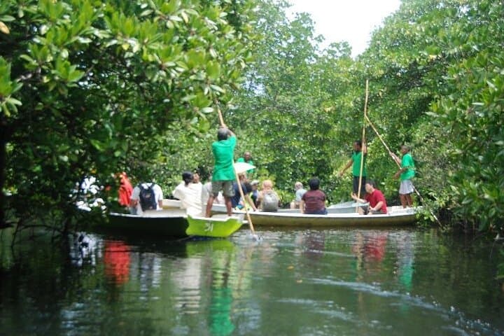 Nusa Lembongan Mangrove Kayak & SUP: Private Boat Tours Through Coastal Forest photo 3