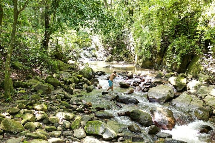 Chocolate Motorcycle Tour: Cocoa Farms & Sierra Nevada Waterfall Ride from Santa Marta photo 4