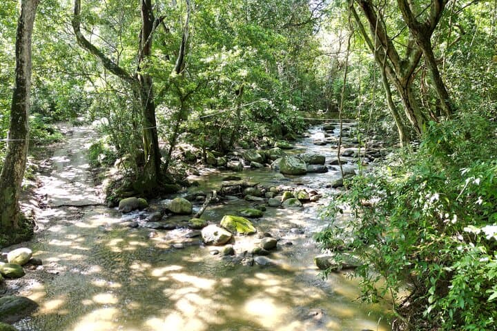 Chocolate Motorcycle Tour: Cocoa Farms & Sierra Nevada Waterfall Ride from Santa Marta photo 6