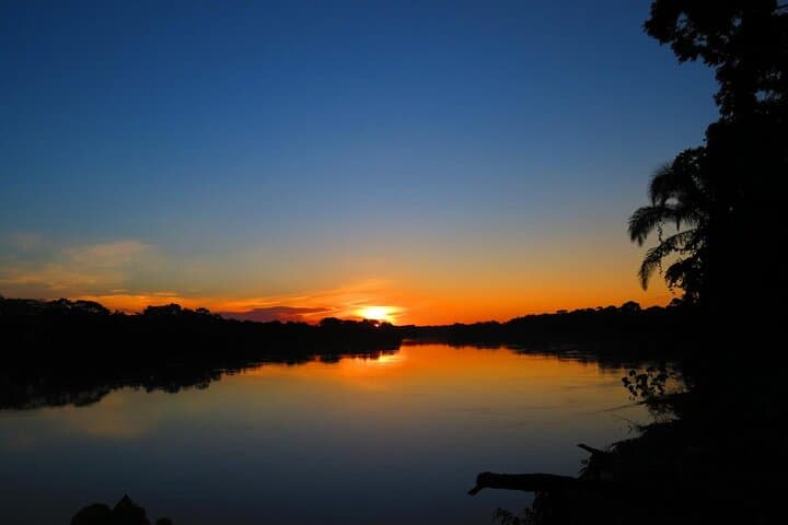 Tambopata Explorer's Inn: 3-Day Amazon Wildlife & Claylick Adventure from Cusco