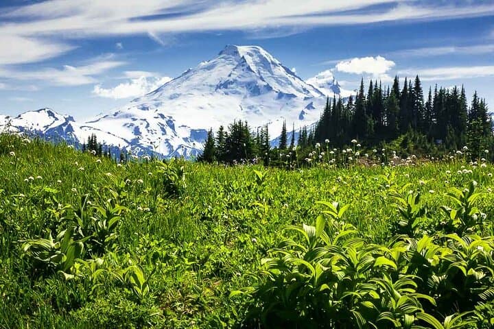 Private Mt. Baker and North Cascades SUV Tour from Seattle — Artist Point, Heather Meadows & Picture Lake photo 4