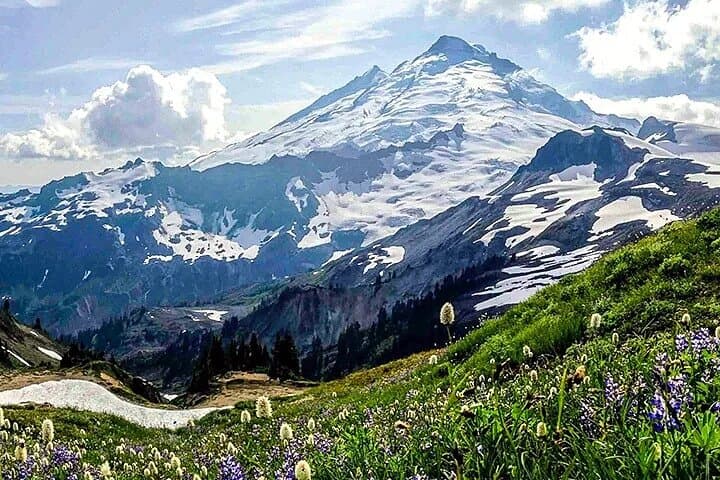 Enchanting Mt. Baker and Cascades Day Tour from Seattle photo 5