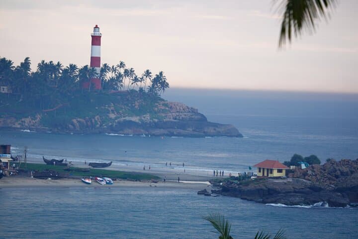 Kerala Nature & Pilgrimage Tour: Backwaters, Tea Hills & Temple Trails photo 6