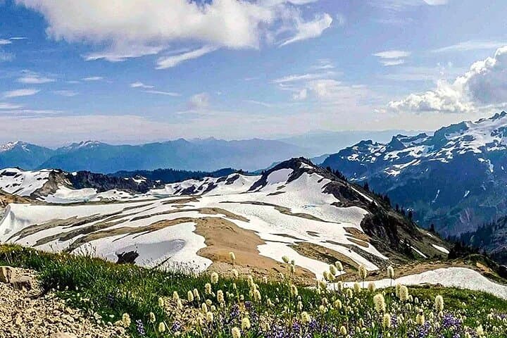 Private Mt. Baker and North Cascades SUV Tour from Seattle — Artist Point, Heather Meadows & Picture Lake photo 6