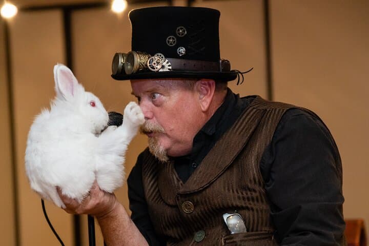 Magic Show Theater Houston: Family-Friendly Illusions & Night Out photo 3