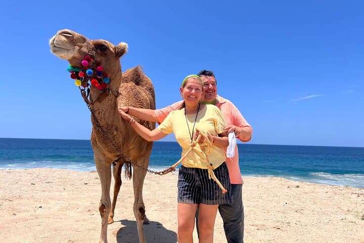 Camel Ride Adventure Cabo San Lucas – Pacific Beach Camel Tour & Tequila Tasting photo 3