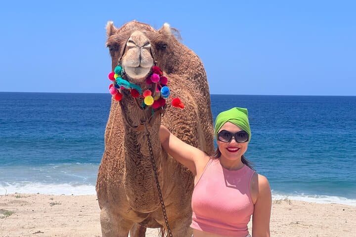 Camel Ride Adventure Cabo San Lucas – Pacific Beach Camel Tour & Tequila Tasting photo 5