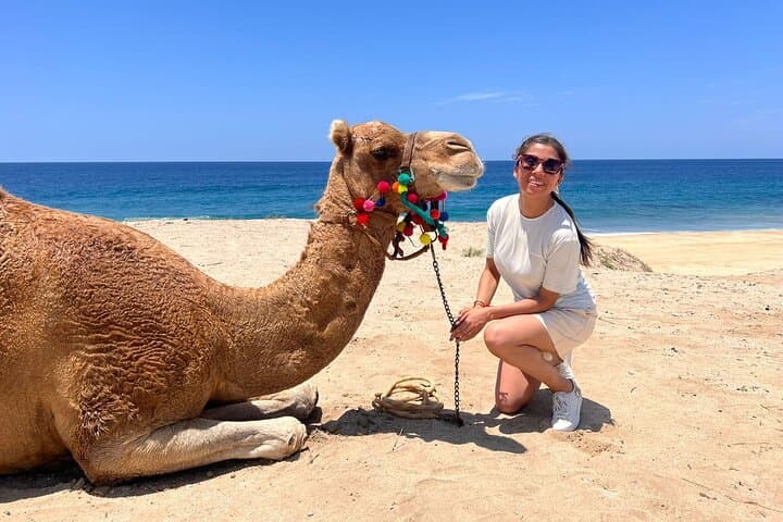 ATV and Camel Combo Tour in Los Cabos — Dunes, Beach Rides & Tequila Tasting photo 2