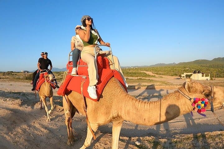 ATV and Camel Combo Tour in Los Cabos — Dunes, Beach Rides & Tequila Tasting photo 4