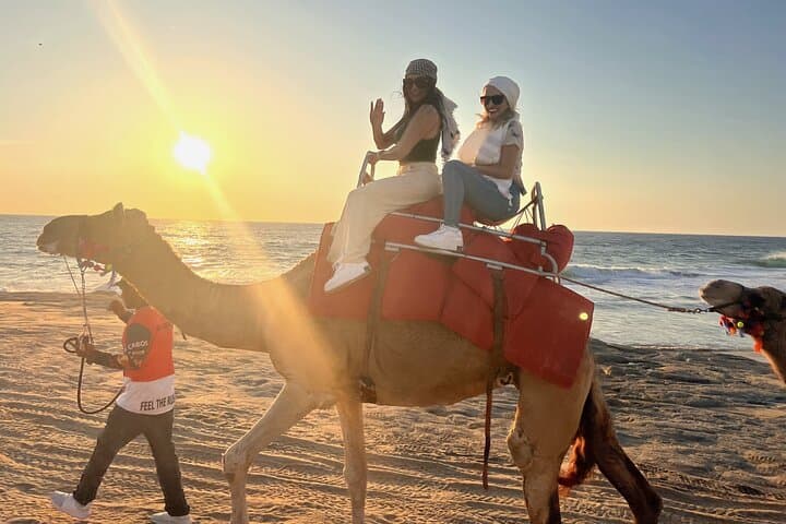 Camel Ride Adventure Cabo San Lucas – Pacific Beach Camel Tour & Tequila Tasting photo 2