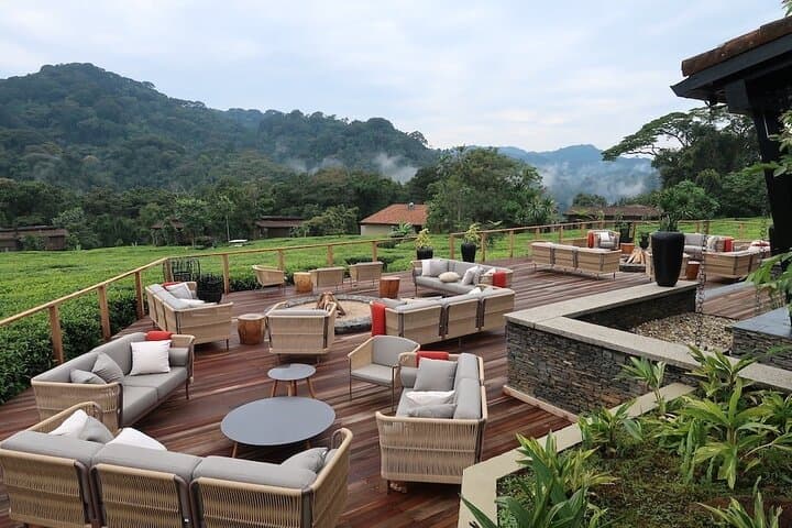 Emerald Escape: 3-Day Nyungwe Rainforest Canopy, Chimps & Waterfall Hike photo 4