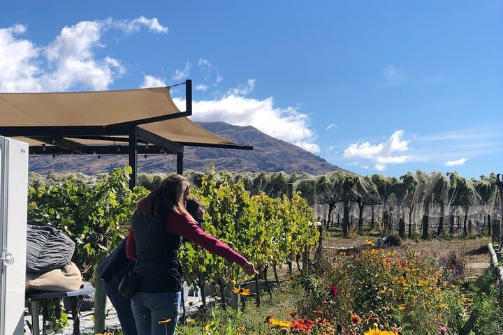 Wanaka Breweries E-Bike Tour: Lake Hawea to Wanaka Craft Beer Ride photo 6